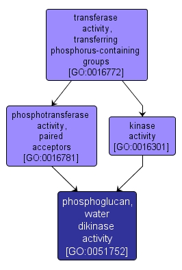 GO:0051752 - phosphoglucan, water dikinase activity (interactive image map)