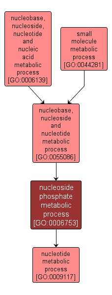 GO:0006753 - nucleoside phosphate metabolic process (interactive image map)