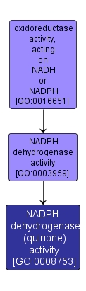 GO:0008753 - NADPH dehydrogenase (quinone) activity (interactive image map)