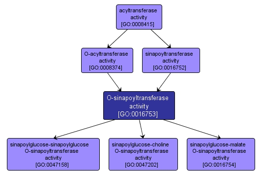 GO:0016753 - O-sinapoyltransferase activity (interactive image map)