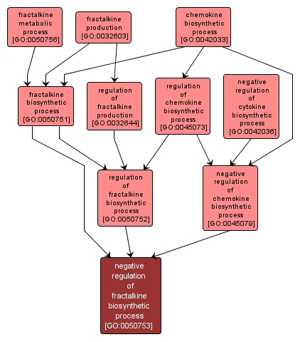 GO:0050753 - negative regulation of fractalkine biosynthetic process (interactive image map)