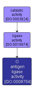 GO:0008754 - O antigen ligase activity (interactive image map)