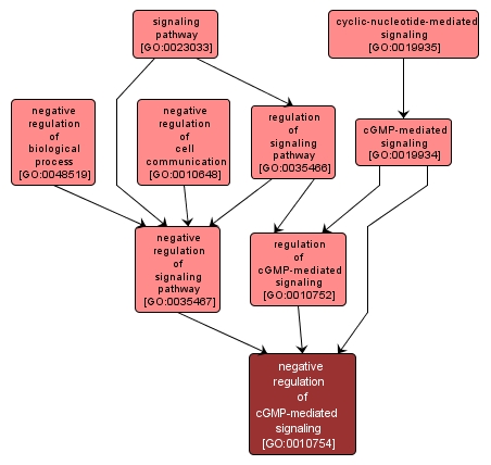 GO:0010754 - negative regulation of cGMP-mediated signaling (interactive image map)