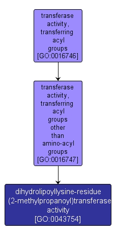 GO:0043754 - dihydrolipoyllysine-residue (2-methylpropanoyl)transferase activity (interactive image map)