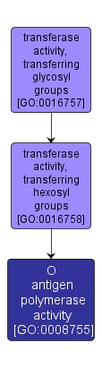 GO:0008755 - O antigen polymerase activity (interactive image map)