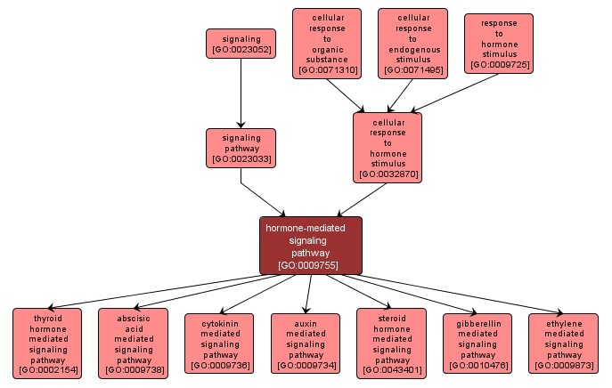 GO:0009755 - hormone-mediated signaling pathway (interactive image map)