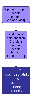 GO:0031755 - Edg-2 lysophosphatidic acid receptor binding (interactive image map)