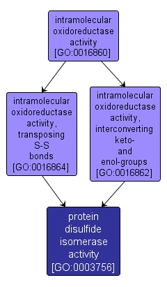 GO:0003756 - protein disulfide isomerase activity (interactive image map)