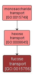 GO:0015756 - fucose transport (interactive image map)