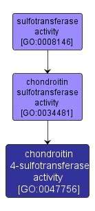 GO:0047756 - chondroitin 4-sulfotransferase activity (interactive image map)