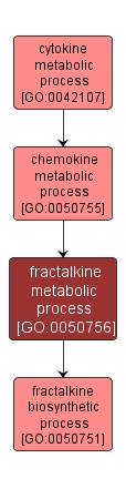 GO:0050756 - fractalkine metabolic process (interactive image map)