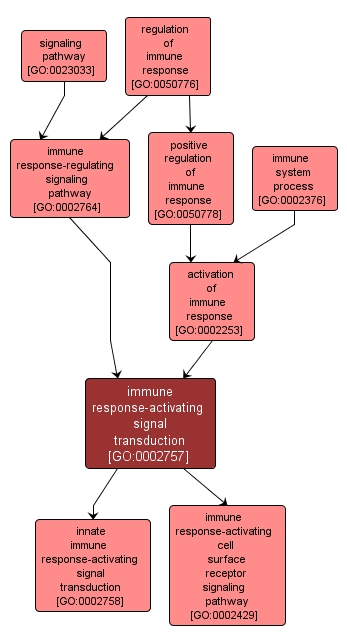 GO:0002757 - immune response-activating signal transduction (interactive image map)