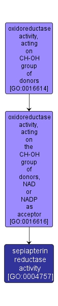 GO:0004757 - sepiapterin reductase activity (interactive image map)