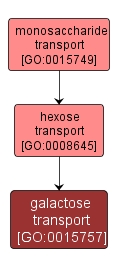 GO:0015757 - galactose transport (interactive image map)