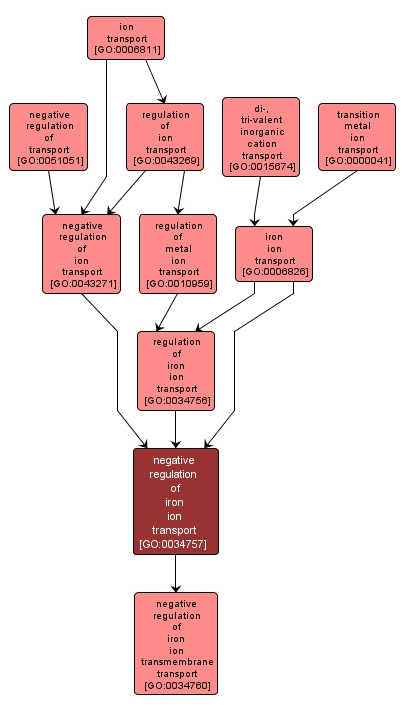 GO:0034757 - negative regulation of iron ion transport (interactive image map)