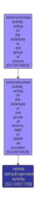 GO:0001758 - retinal dehydrogenase activity (interactive image map)