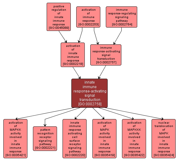 GO:0002758 - innate immune response-activating signal transduction (interactive image map)