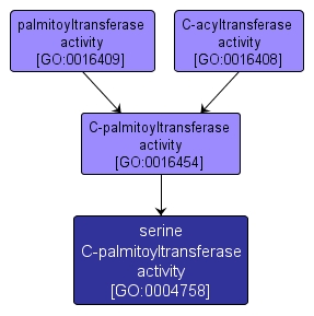 GO:0004758 - serine C-palmitoyltransferase activity (interactive image map)