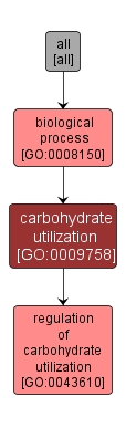 GO:0009758 - carbohydrate utilization (interactive image map)