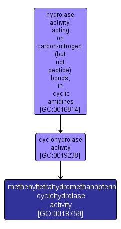 GO:0018759 - methenyltetrahydromethanopterin cyclohydrolase activity (interactive image map)