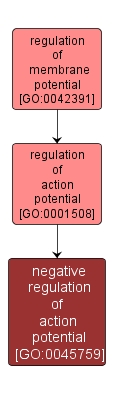 GO:0045759 - negative regulation of action potential (interactive image map)