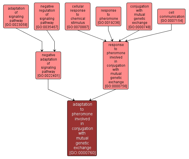 GO:0000760 - adaptation to pheromone involved in conjugation with mutual genetic exchange (interactive image map)