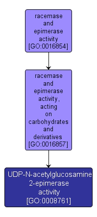 GO:0008761 - UDP-N-acetylglucosamine 2-epimerase activity (interactive image map)