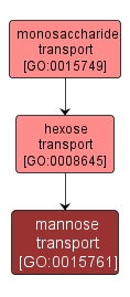 GO:0015761 - mannose transport (interactive image map)