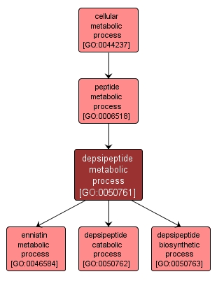 GO:0050761 - depsipeptide metabolic process (interactive image map)