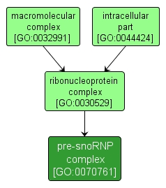 GO:0070761 - pre-snoRNP complex (interactive image map)
