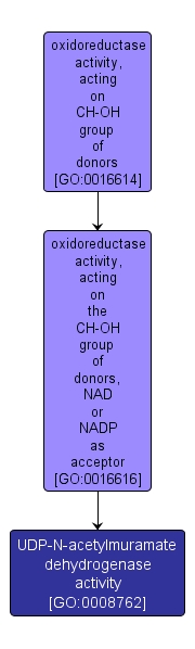 GO:0008762 - UDP-N-acetylmuramate dehydrogenase activity (interactive image map)