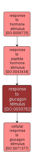 GO:0033762 - response to glucagon stimulus (interactive image map)