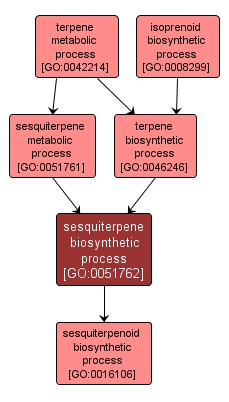 GO:0051762 - sesquiterpene biosynthetic process (interactive image map)