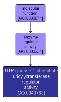 GO:0043763 - UTP:glucose-1-phosphate uridylyltransferase regulator activity (interactive image map)