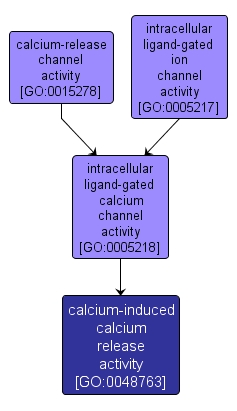 GO:0048763 - calcium-induced calcium release activity (interactive image map)