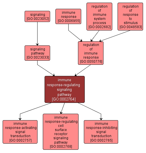 GO:0002764 - immune response-regulating signaling pathway (interactive image map)