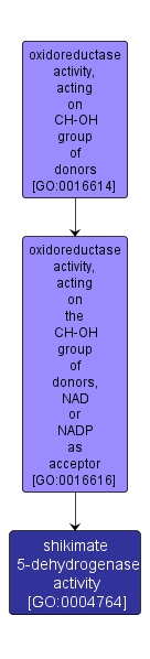 GO:0004764 - shikimate 5-dehydrogenase activity (interactive image map)