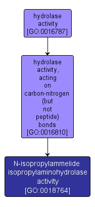 GO:0018764 - N-isopropylammelide isopropylaminohydrolase activity (interactive image map)
