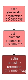 GO:0051764 - actin crosslink formation (interactive image map)