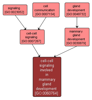 GO:0060764 - cell-cell signaling involved in mammary gland development (interactive image map)