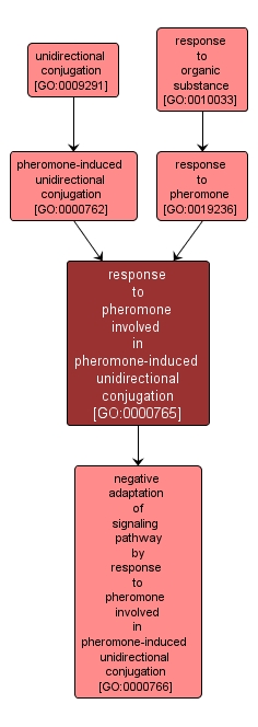 GO:0000765 - response to pheromone involved in pheromone-induced unidirectional conjugation (interactive image map)