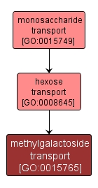 GO:0015765 - methylgalactoside transport (interactive image map)