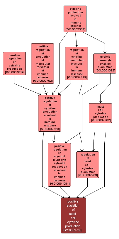 GO:0032765 - positive regulation of mast cell cytokine production (interactive image map)