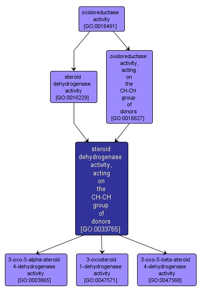 GO:0033765 - steroid dehydrogenase activity, acting on the CH-CH group of donors (interactive image map)