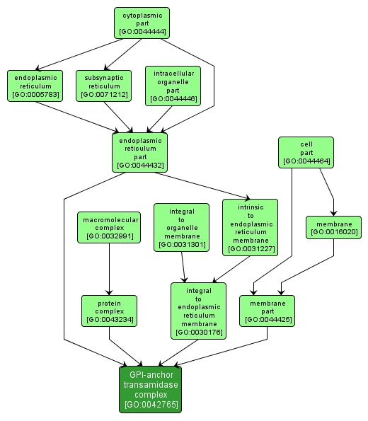 GO:0042765 - GPI-anchor transamidase complex (interactive image map)