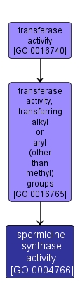 GO:0004766 - spermidine synthase activity (interactive image map)