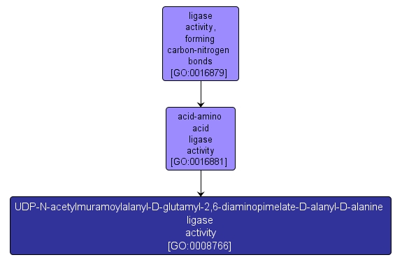 GO:0008766 - UDP-N-acetylmuramoylalanyl-D-glutamyl-2,6-diaminopimelate-D-alanyl-D-alanine ligase activity (interactive image map)