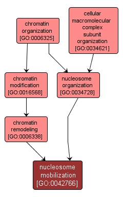 GO:0042766 - nucleosome mobilization (interactive image map)