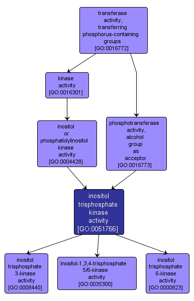 GO:0051766 - inositol trisphosphate kinase activity (interactive image map)