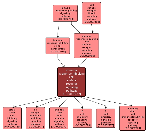 GO:0002767 - immune response-inhibiting cell surface receptor signaling pathway (interactive image map)